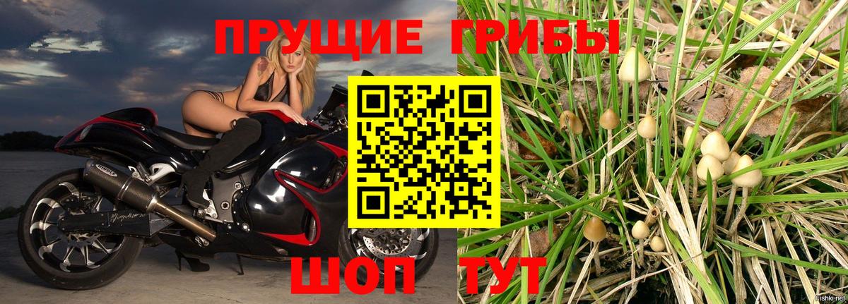 как найти закладки  Вход с VPN  Псилоцибиновые грибы GOLDEN TEACHER  Междуреченск  Галлюциногенные грибы MAGIC MUSHROOMS 
